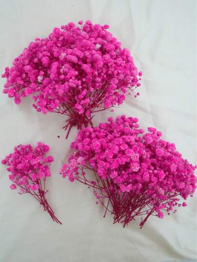 25/50/100/300pcs Mini Baby's Breath & Other Dried Flowers - For Resin Mold Art & Crafts, Ivory White Bouquet For Hair Accessories, Wedding Wreaths, Table Decor, Home Decoration