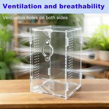 Acrylic Jumping Spider Enclosure, Reptile Enclosure, Bug Habitat, Small Tree Dwelling Reptiles, Arboreal Tarantula Enclosure, Spider Terrarium Kit, Plastic Terrarium4. Inch X 4. Inch X 8 Inch - A1 - View 6