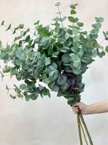 5pcs/3pcs/1pc 60cm/23in Realistic Eucalyptus Branches, Lifelike Texture, Green Artificial Foliage, Bulk Fake Plants, Suitable For Weddings - Eucalyptus - View 11