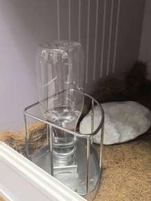 1个三角形乌龟饮水器，自动补水，不锈钢水碗和食盘，适用于乌龟、蛇、蜥蜴、小鸡、鸭子、刺猬、鸟类 - 均碼 - 查看 5