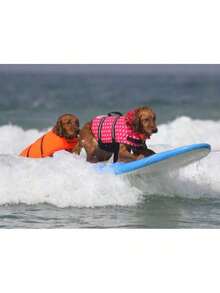 反光可调节夏季大型犬泳衣背心，冲浪帆船浮力增强宠物救生衣，反光狗狗救生衣，确保水上和海洋玩耍安全 - 彩色 - 查看 7