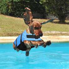 反光可调节夏季大型犬泳衣背心，冲浪帆船浮力增强宠物救生衣，反光狗狗救生衣，确保水上和海洋玩耍安全 - 彩色 - 查看 15