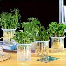 6个水培蔬菜种植篮，塑料种植篮，适用于阳台和苗圃无土栽培，专用花盆 - 6件 - 查看 1