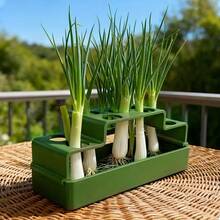 1pc Scallion Replanting Planter, Hydroponic Reusable Planter For Regrowth, Simple Home Use Circulation Harvesting, Soil-Free Planting Tool - A - View 5