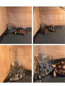 1个三角形乌龟饮水器，自动补水，不锈钢水碗和食盘，适用于乌龟、蛇、蜥蜴、小鸡、鸭子、刺猬、鸟类 - 均碼 - 查看 4