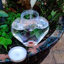 1/2个心形自动浇水器 - 室内滴灌系统 - 盆栽喷壶 - 家用 - 500毫升 - 约8天自动浇水 - 澆水器 - 查看 3