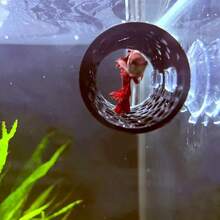 Betta Fish Tunnel Hideout With Suction Cups, Floating Mesh Resting Cave For Aquarium Glass, Stress-Reducing Shelter - B - View 3