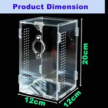 Acrylic Jumping Spider Enclosure, Reptile Enclosure, Bug Habitat, Small Tree Dwelling Reptiles, Arboreal Tarantula Enclosure, Spider Terrarium Kit, Plastic Terrarium4. Inch X 4. Inch X 8 Inch - A1 - View 5