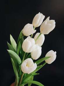 10支仿真白色郁金香，春夏郁金香，仿真春季花卉，深绿色叶子，逼真郁金香花，婚礼花束家居花园DIY插花，母亲节毕业装饰，派对中心摆件，户外花园装饰（乳白色） - 乳白色 - 查看 10