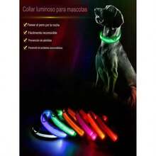 Pet Basic Dog Collars - Multicolor - View 10