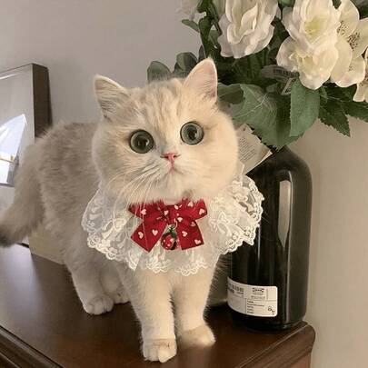 可爱猫咪领结项圈，可拆卸，花卉图案，带铃铛，适合室内猫咪、幼猫和小型犬。