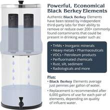 Berkey Authentic Black Berkey Purification Elements - Berkey Water Purifier Replacement Filters (Pack Of 2) - Xem 8
