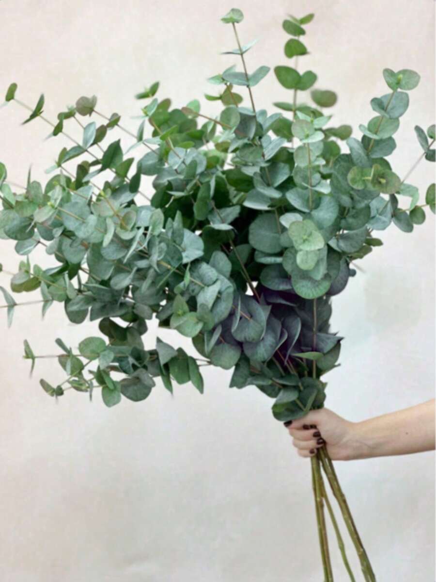 5pcs/3pcs/1pc 60cm/23in Realistic Eucalyptus Branches, Lifelike Texture, Green Artificial Foliage, Bulk Fake Plants, Suitable For Weddings - Eucalyptus - View 1