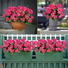 1/3/80支装 14英寸人造非洲菊，红色塑料花，适用于家居办公室花束中心装饰、农舍装饰、生日派对、婚礼装饰、春夏季 - 深玫紅 - 查看 6