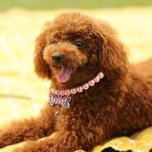 1pc Adorable Cat & Dog Faux Pearl Bone Pendant Necklace, Fashionable Jewelry - Multicolor - View 4