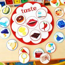 hoojojo 30pcs Sensory Felt Teaching Aids, Word Matching & Recognition, Five Senses Early Education Enlightenment, Montessori Toys Suitable For Classroom Teaching And Home Education - Multicolor - View 7