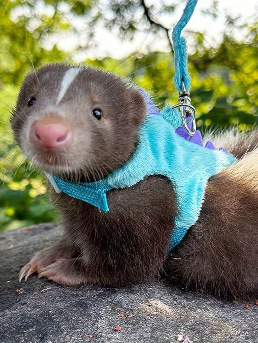 1pc Cute Dinosaur Shaped Bell Leash Set, Includes Adjustable Harness And Leash, Suitable For Ferrets, Lizards, Guinea Pigs, Hamsters And Other Small Pets, Small Pet Supplies, Hamster Supplies, Ferret Leash, Guinea Pig Supplies, Rabbit Supplies, Chihuahua Leash, Hamster Leash, Ferret Supplies, Rabbit Pet Supplies