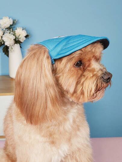 Adjustable Pet Sun Visor Baseball Cap For Small Dogs & Cats, Spring/Summer