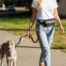 Dog Hands-Free Leash With Waist Pack, Retractable Pet Leash, Adjustable Waist Belt Pouch, Reflective Stitching Design, Suitable For Running, Walking, Hiking, Jogging - Multicolor - View 6