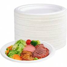 50/100/150/200pcs Disposable Heavy Duty Paper Plates, 10 Inch Round | Natural Sugarcane Bagasse, White Sugarcane BBQ Plates, For Party, Gathering, Picnic - White - View 6