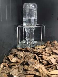 1个三角形乌龟饮水器，自动补水，不锈钢水碗和食盘，适用于乌龟、蛇、蜥蜴、小鸡、鸭子、刺猬、鸟类 - 均碼 - 查看 6