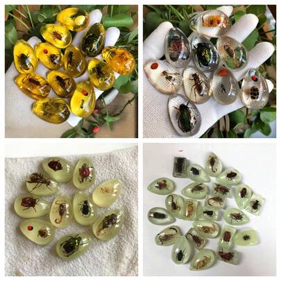 Random Color/Style Explore The Wonderful World Of Insects! These Educational Amber Accessories Allow You To Delve Into The World Of Insects. (Insect And Product Shape And Color Are Randomly Shipped) Fashionable Natural Insect Specimen Scorpion Spider Amber, Suitable For Pendant, Necklace, Bracelet, Bag Decoration