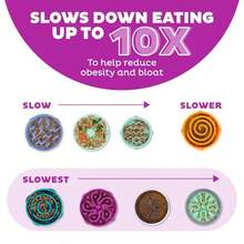 Fun Feeder Slo Bowl Large 4‑Cup Capacity Slow Feeding Medium To Large Dogs N‑Slip Ple Flower Pattern - 紫色 - 查看 4