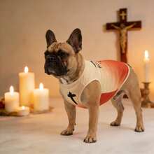 1pc Christian Cross Print & Slogan Pet Dog Vest, Ombre Faith Design, Lightweight Breathable Pet Clothing For Small/Medium Dogs & Cats, Summer - Orange - View 7