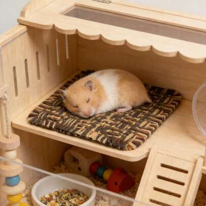 Hamster Seasonal Sleeping Mat, Soft & Comfortable Small Pad For Hamster Cage, Square Pet Hamster Mat, Soft & Breathable Small Pad, Hamster Cage Supplies