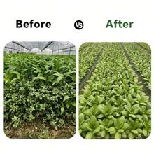 预打孔黑色地被植物，带地钉，用于园艺种植和隔离 - 601X100cm除草布(綠黑色) - 查看 8