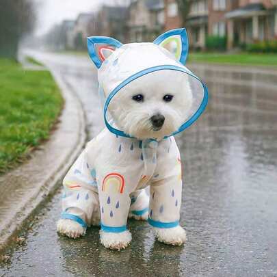 1件宠物透明彩虹印花雨衣