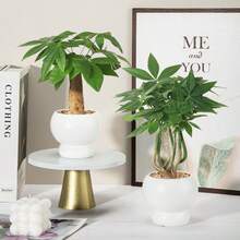 1pc Nordic Flowerpot Imitation Ceramic Cream Wind INS Light Luxury High-Grade Simple Potted Orchid Fleshy Green Plant Small Flowerpot - Flowerpot - View 5