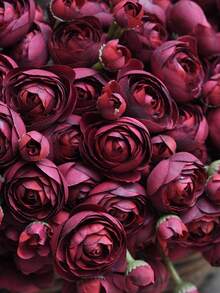 6支仿真毛茛花，假玫瑰，丝绸迷你毛茛，散装仿真花，适用于婚礼花束、餐桌摆饰、新娘送礼会、情人节、母亲节装饰 - 多色 - 查看 4