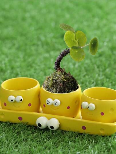 Creative Indoor Easy-Care Desktop Mini Succulent Micro Landscape Potted Plants