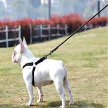 1件装狗狗胸背带牵引绳，背心式宠物牵引绳，适合所有品种，小型/中型/大型犬 - 黑色 - 查看 5