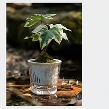 1个冰川图案透明懒人自浇水花盆，适用于水培植物、水仙花，无需浇水，塑料仿玻璃花盆。 - 冰河紋 - 查看 7