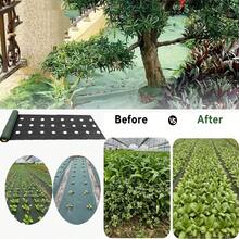 预打孔黑色地被植物，带地钉，用于园艺种植和隔离 - 601X100cm除草布(綠黑色) - 查看 2