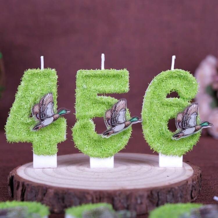 1支绿色羽毛鸭子造型0-9数字生日蜡烛，手工创意蜡烛，适用于生日派对蛋糕装饰，周年纪念数字蜡烛 - 查看 6