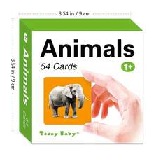 Set Of 54 English Animal Vocabulary Flashcards (9.8 Cm X 9.8 Cm). Featuring A Double-Sided Design That Pairs Images With Text, These Cards Facilitate Interactive Learning And Visual Memory-An Ideal Back-To-School Gift. Educational Resource. - Multicolor - View 3