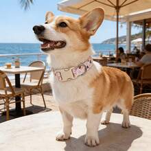 1件装宠物春夏假日项圈，狗狗项圈牵引绳，防走失防逃脱可调节，适合小型/中型/大型犬，舒适颈带宠物用品 - 彩色 - 查看 6