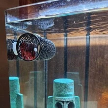 Betta Fish Tunnel Hideout With Suction Cups, Floating Mesh Resting Cave For Aquarium Glass, Stress-Reducing Shelter - B - View 4