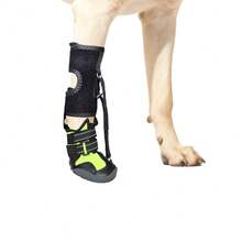 1pc Dog Joint Arthritis Foot Support Device, Corrective Drooping Paw Support - Multicolor - View 22