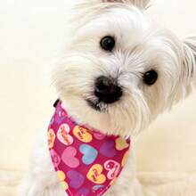 Pañuelo con patrón de corazón lindo para mascotas con collar ajustable, babero impermeable para perros y gatos pequeños, suave y duradero sin argolla en D. - Rosa Fucsia - Ver 4