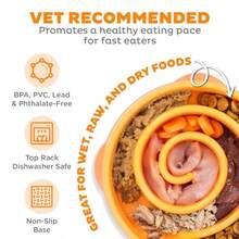 Fun Feeder Slo Bowl Medium 2‑Cup Capacity Slow Feeding Small To Medium Dogs And S N-Slip Orange Swirl Pattern - Orange - View 3