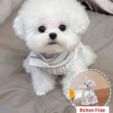 1 pieza Llavero conmemorativo de pelo de mascota, nuevo diseño - Multicolor - Ver 23