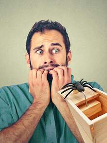 1个万圣节惊吓蜘蛛盒 - 木制惊喜恶作剧道具,适合“不给糖就捣蛋”的孩子们 - 鬼屋恶作剧道具 - 手工制作的蜘蛛弹簧玩具,适合派对游戏 - 可重复使用的恶作剧套装 - 办公桌恶作剧盒 - 木制蜘蛛搞笑礼物,适合送给同事的生日礼物 - 密室逃脱道具盒 - 带有隐藏蜘蛛机关的互动木制拼图(木制和塑料材质) - 彩色 - 查看 7