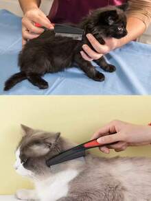 1pc Scalp Deep Cleaning Hair Brush, Compact Tooth Dandruff Brush To Remove Lice, Long Handled Beauty Brush, Cat Hair Removal Brush, Dog Hair Removal Tool, Multifunctional Comb - Multicolor - View 9