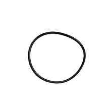 ASTRAL VICTORIA PLUS PUMP O' RING 151,7 X 6,99 - View 1