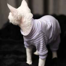 Ribbed Four-Leg Cat Sweater, Warm Base Layer For Autumn/Winter, Comfortable For Indoor Play, Suitable For Hairless Cats & Devon Rex, High Elasticity & Skin-Friendly Ribbed Knit - Green - View 7