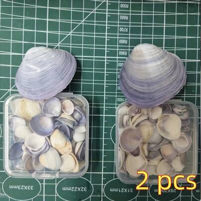 一盒约60个紫色天然贝壳 - 非常适合DIY海洋主题装饰、许愿瓶、水族箱造景和工艺礼品盒